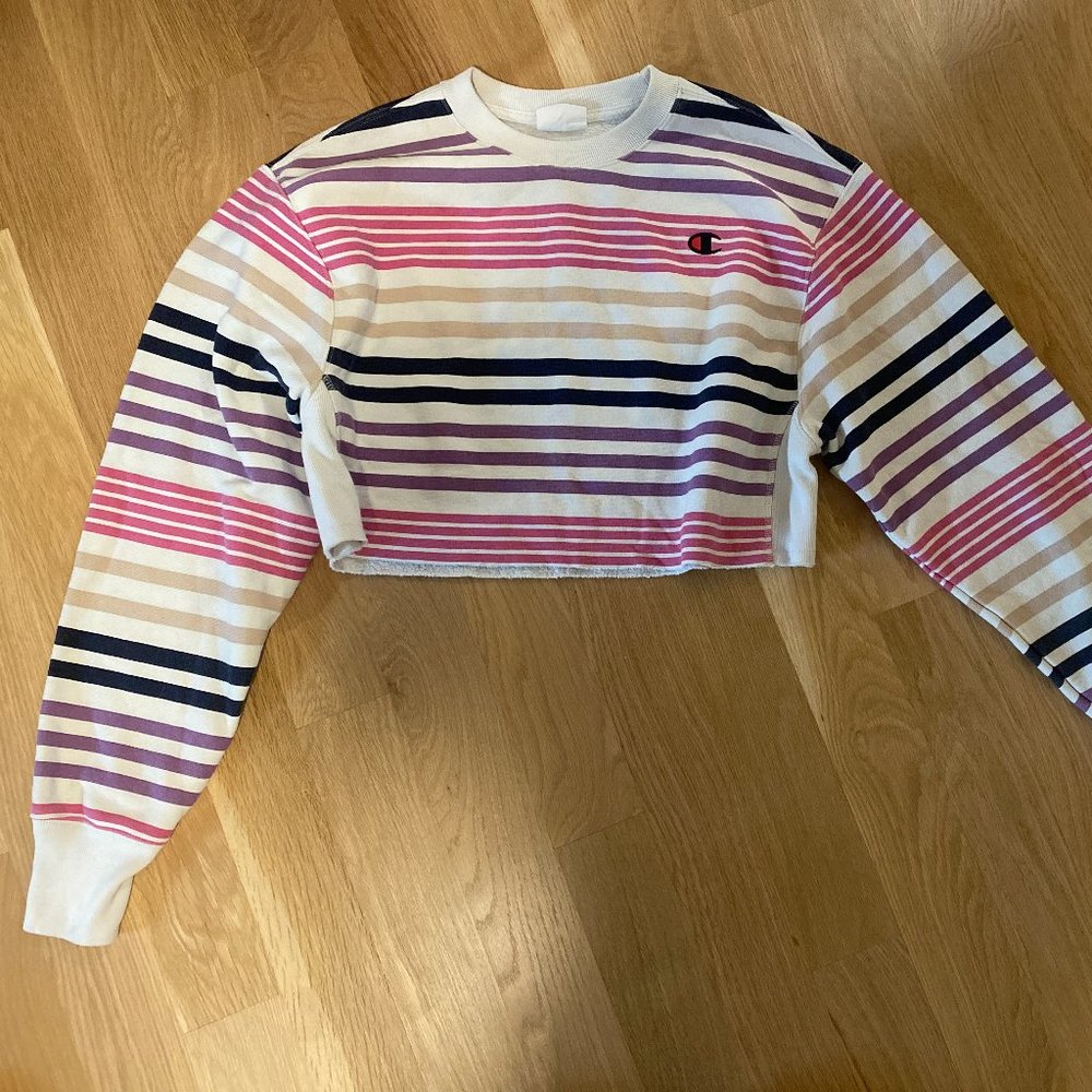 Champion stripe crop top sweatshirt